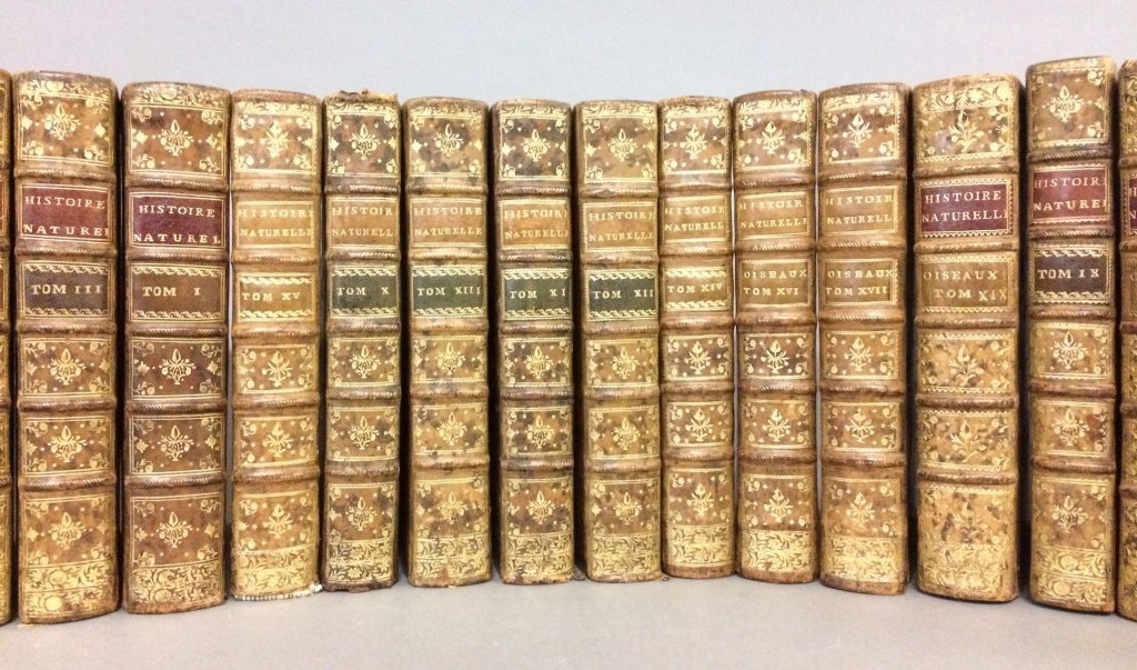 Adjugé 1 900 €